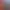 Reel image 5