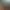 Reel image 3