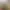 Reel image 4