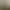 Reel image 0